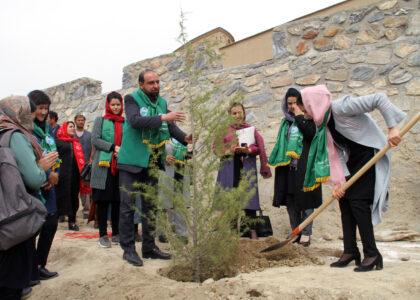 Women launch tree plantation drive in Kabul