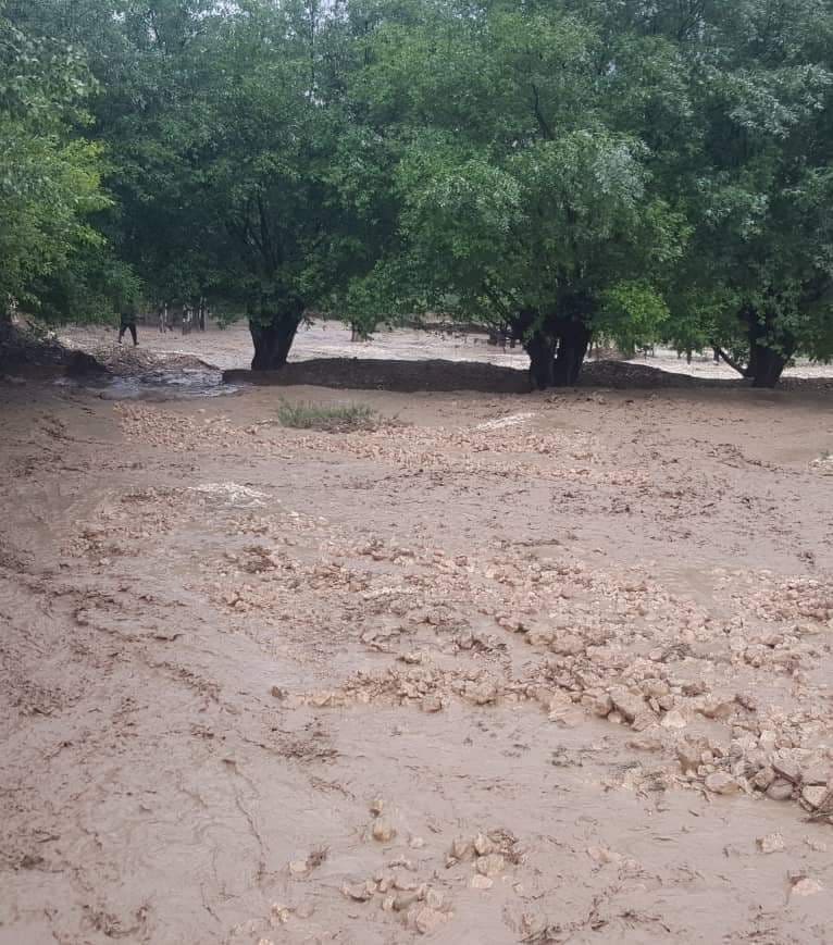 از اثر سیلابها در نورستان ده ها تن کشته و مجروح شده اند