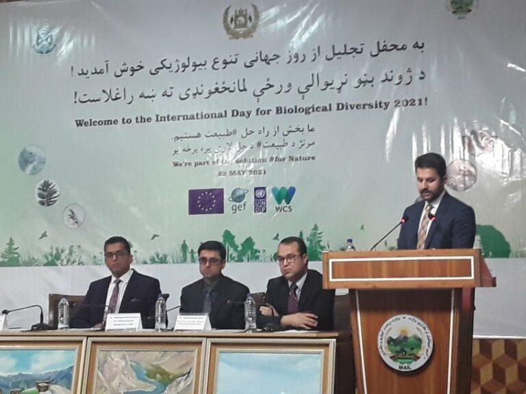 “ده‌ها نوع از حیات ‌وحش در کشور، به‌ دلیل ناامنی‌‌ها با خطر نابودی مواجه اند”
