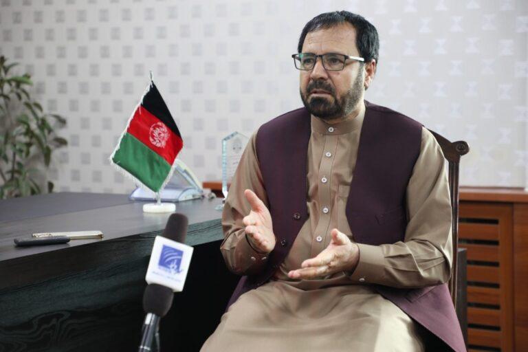 Illegal militias weaken public faith in system: Minister