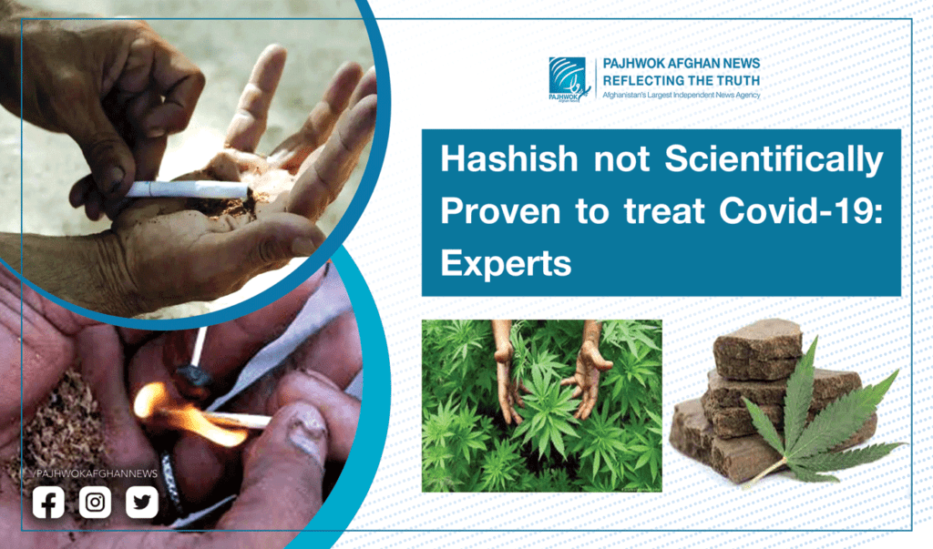 Hashish not scientifically proven to treat Covid-19: Experts