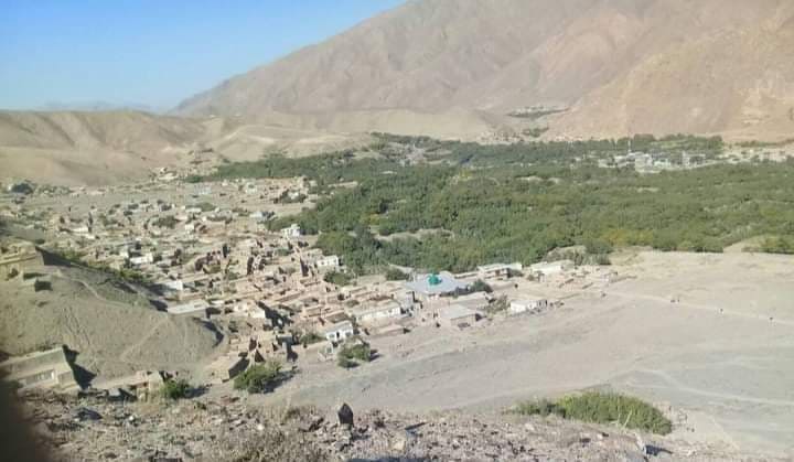 در حملات هوایی نیروهای اردوی ملی در پروان ۲۱ طالب کشته شدند