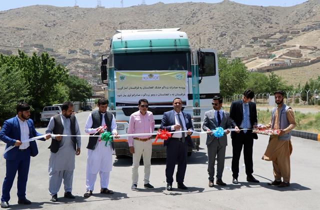 پنجاه تُن زردآلوی خشک افغانستان به قزاقستان صادر گردید