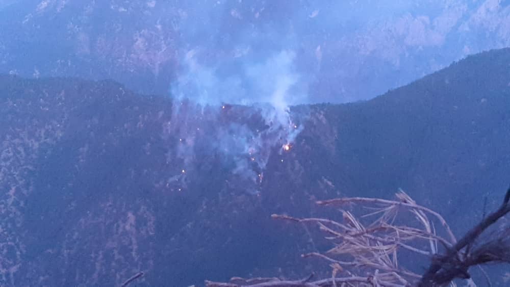 Mountainous jungles in Nuristan districts catch fire