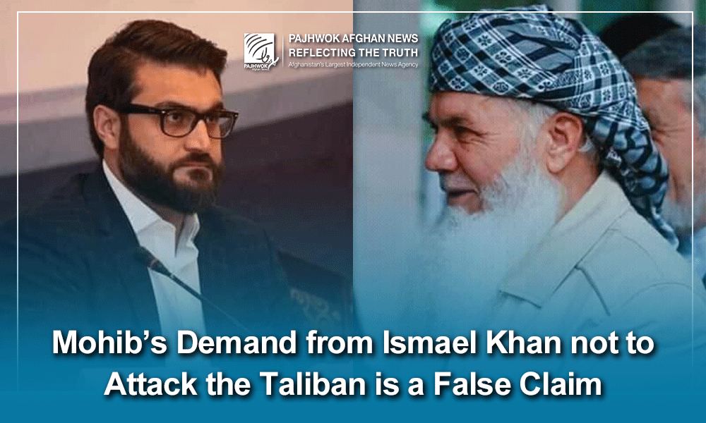 Untrue that Mohib asks Ismael Khan not to resist Taliban