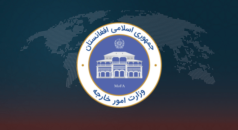 Global organs should probe Taliban’s war crimes: Govt