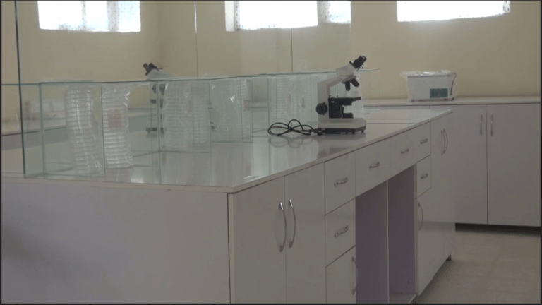 Mushroom seeds production laboratory opened in Jawzjan