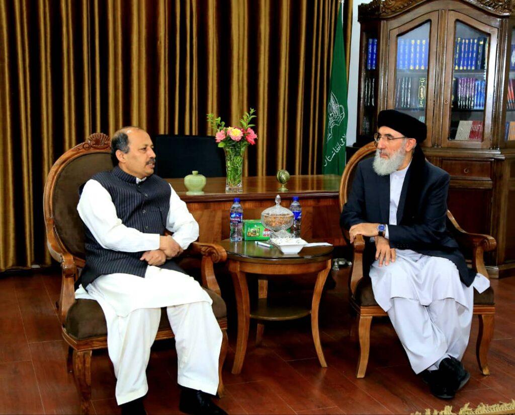 Pakistan envoy, Hekmatyar discuss future Afghan govt