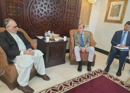 EU envoy meets govt, Taliban negotiators in Qatar