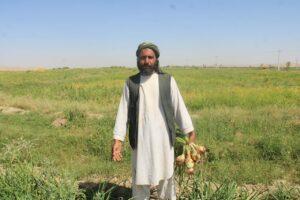 د غور بزګر وايي، بېړنۍ مرستې دې ورسره وشي