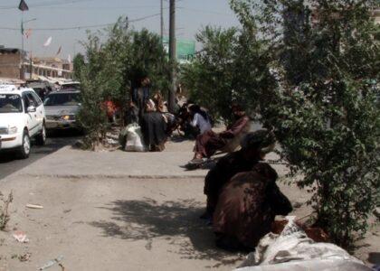 Taliban urged to eradicate narcotics, halt supply