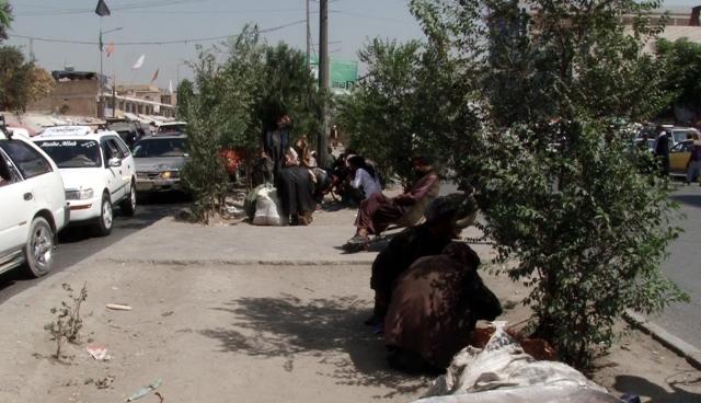 Taliban urged to eradicate narcotics, halt supply
