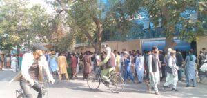 Improved coordination between govt, NGOs urged