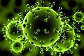 Coronavirus deaths near 4.6 million worldwide