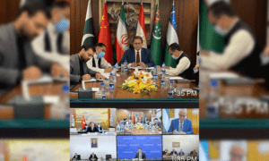 Peaceful Afghanistan to strengthen regional connectivity: Neighbors