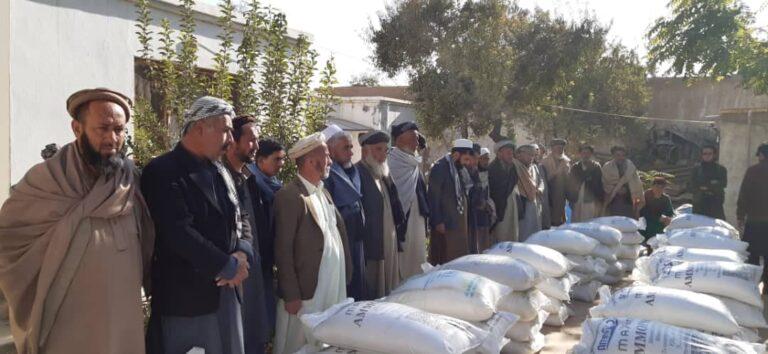با۵۰۰ دهقان در سمنگان تخم اصلاح شدۀ گندم و کود کمیاوی کمک می شود