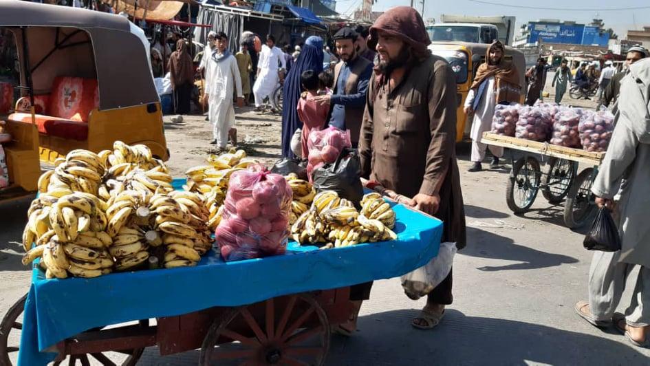 Campaign to regulate hand-carts begins in Jalalabad
