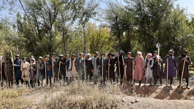 په خاص اروزګان ولسوالۍ کې سلګونو کسانو ته د کار زمینه برابره شوې