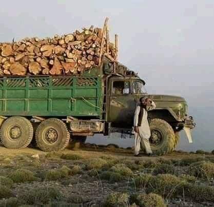 Forest cutting for timber banned in Khost