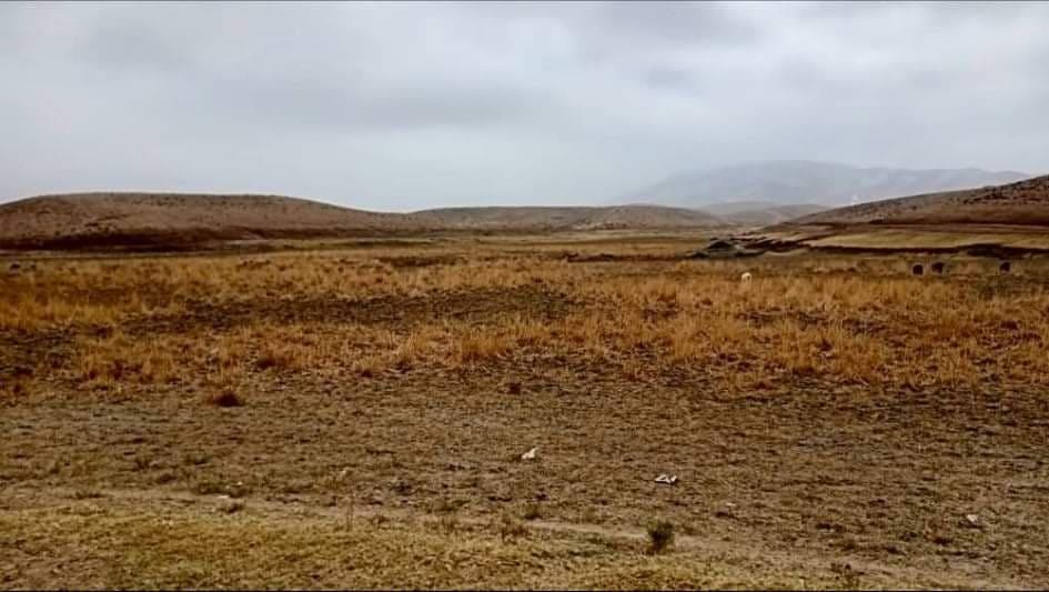 Samangan: Land allocated for agro research