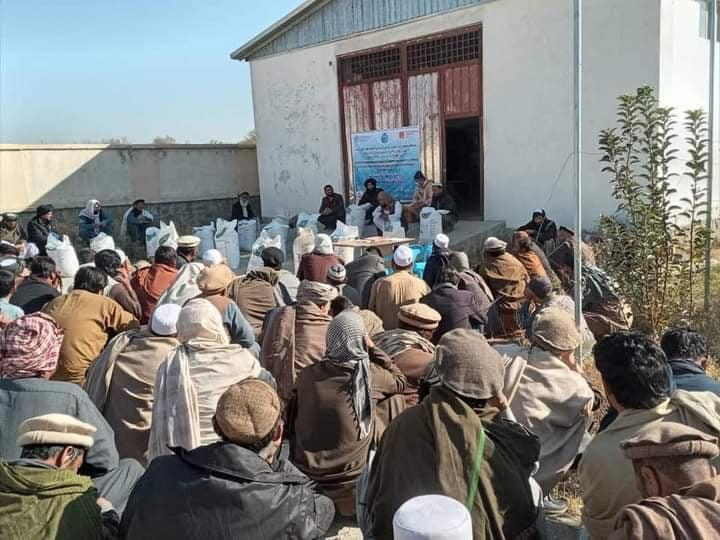 Improved wheat seed being distributed among Logar farmers