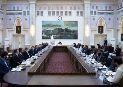 Identify beggars in Kabul, cabinet tells ARCS