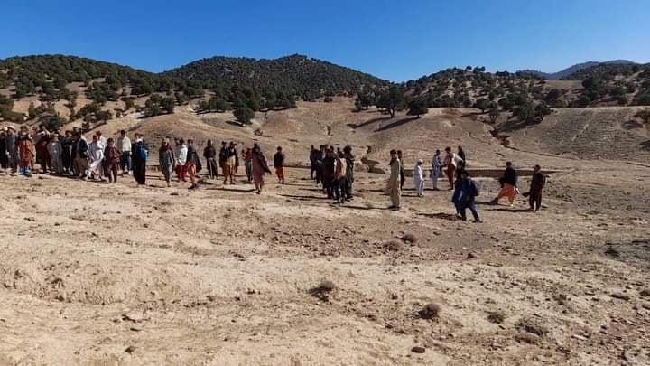 خلکو د ننګرهار په شېرزادو ولسوالۍ د ځنګلونو بيارغونه پيل کړې ده