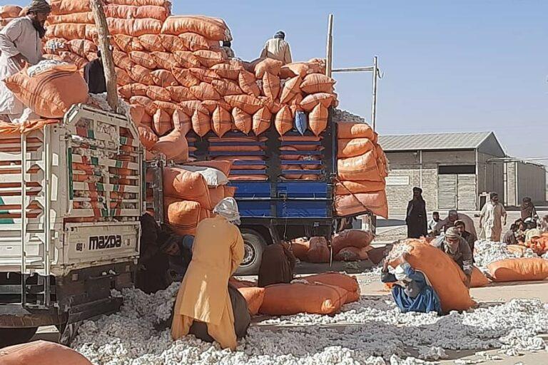 Helmand’s Bost Enterprise resumes operation, buys cotton