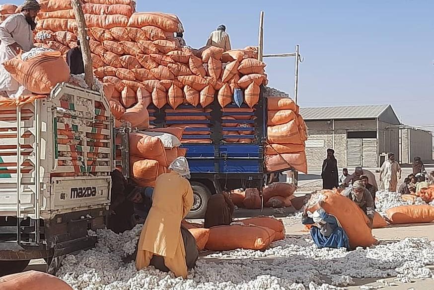 Helmand’s Bost Enterprise resumes operation, buys cotton
