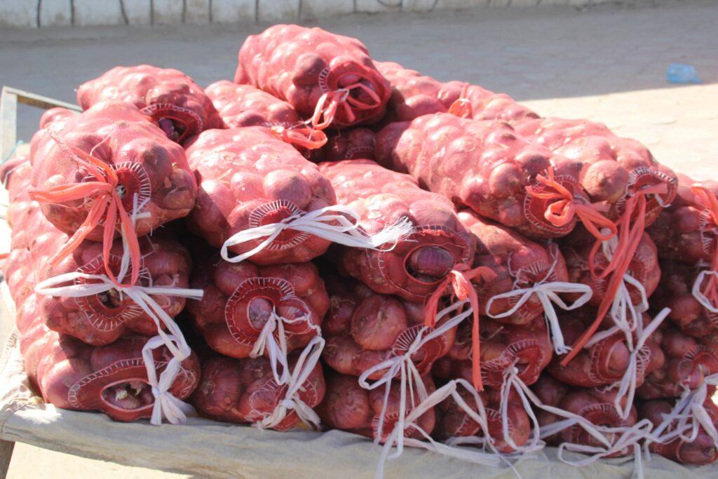 Kandahar growers grumble about dipping onion prices