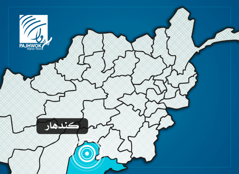 کندهار کې د سړې هوا له امله په تېرو دوو اونیو کې ۱۲ زره څاروي تلف شوي دي