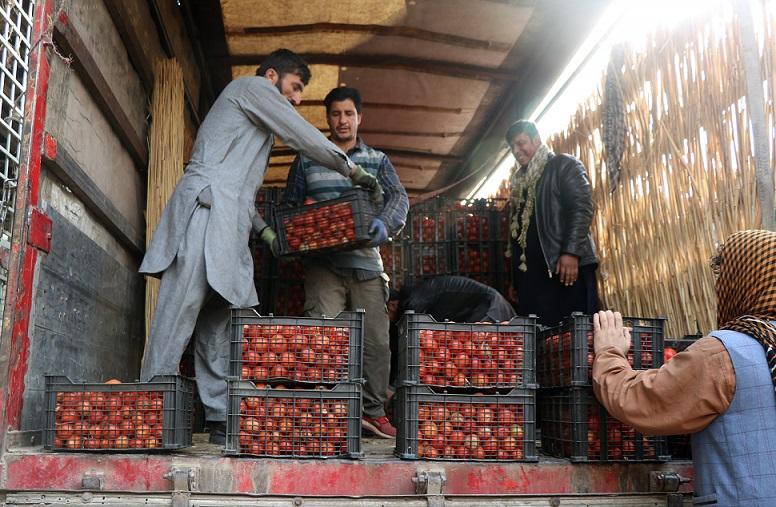 Tomato prices surge fourfold in a month in Kabul