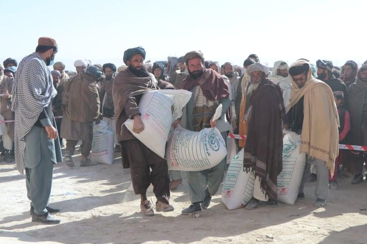 Thousands of Ghazni farmers receive seed, fertilizer, animal feed