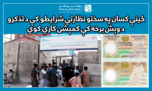 ځینې کسان په سختو نظارتي شرایطو کې د تذکرو د وېش برخه کې کمېشن کاري کوي