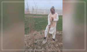 Peace, stability thrill Farah farmers