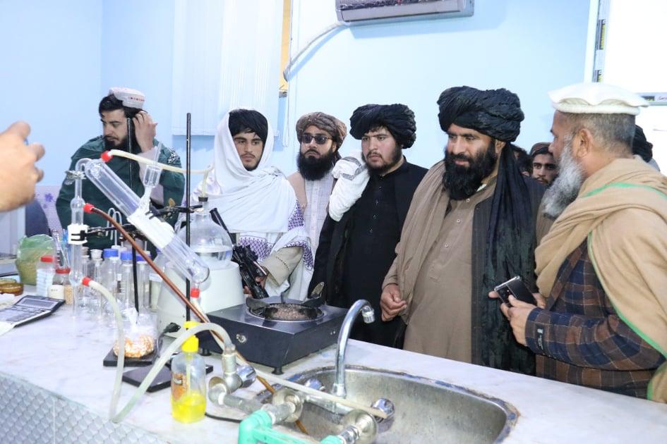 $15m poultry feed-processing plant opens in Nangarhar