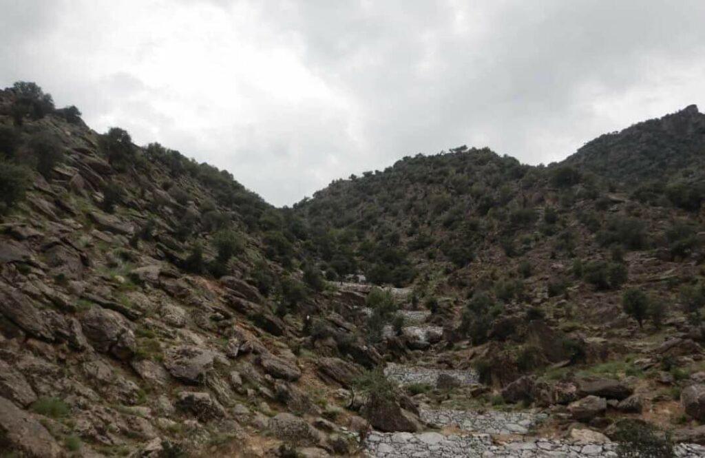 چارواکي: کونړ کې د چيک ډېمونو په جوړېدو د باران اوبو د ضايع کېدو مخه نيول شوې