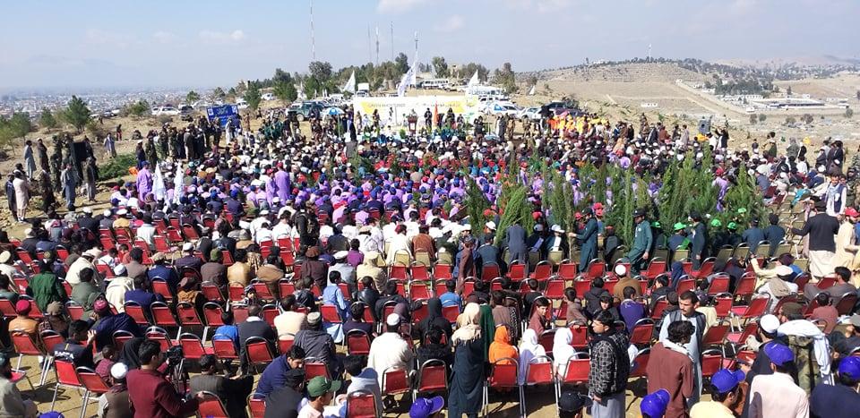 په خوست کې د زرغون خوست په نوم د نیالګيو اېښودلو درې ورځنۍ مېله پیل شوه