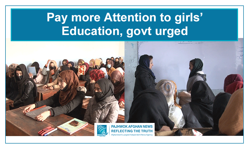 Pay more attention to girls’ education, govt urged