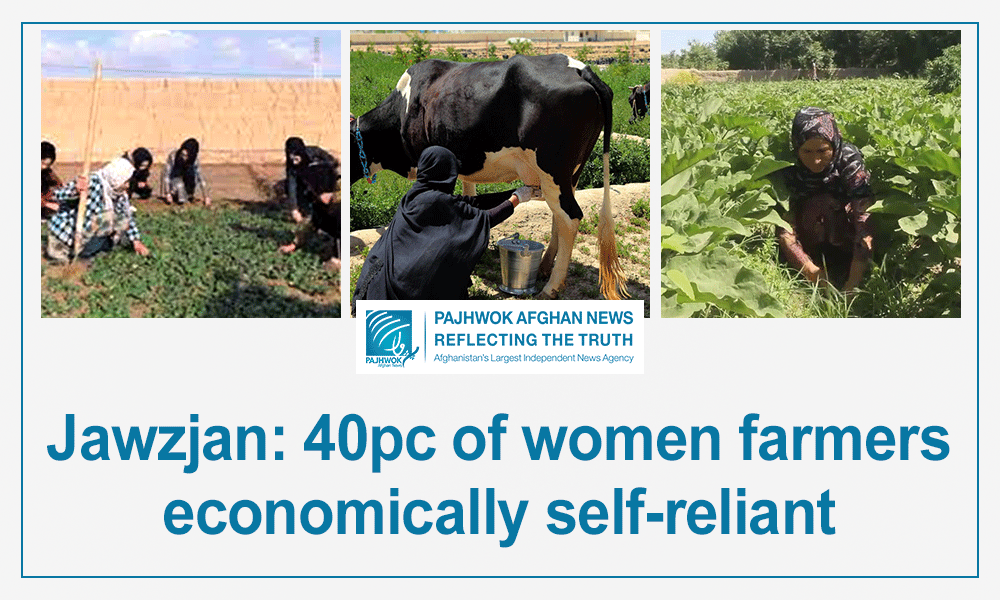 Jawzjan: 40pc of women farmers economically self-reliant