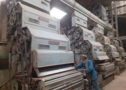 Revenue of Bost Enterprise significantly up