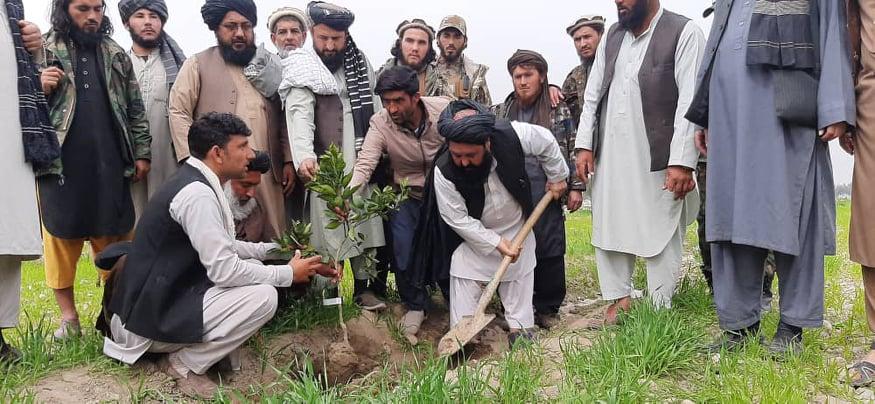 Efforts to reclaim usurped lands in Nangarhar accelerated