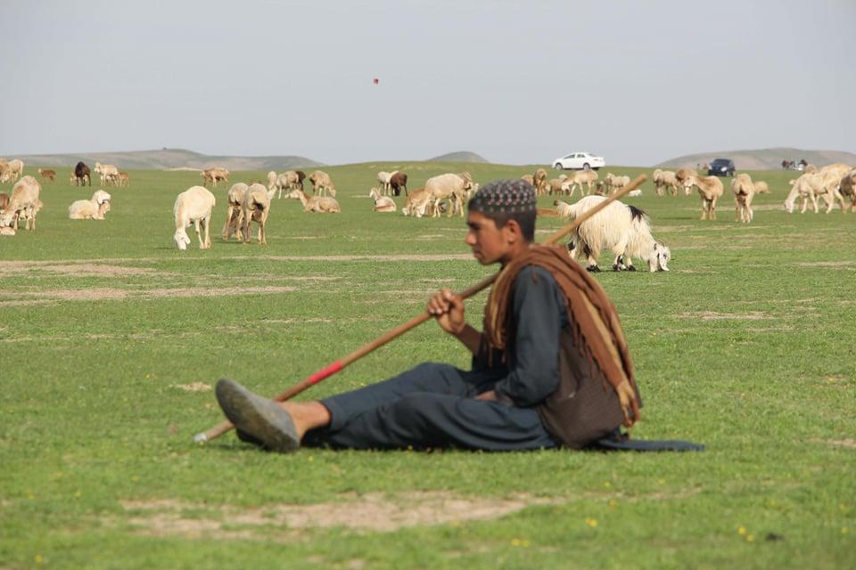 با فرارسیدن بهار، شمار بازدیدکننده‌گان از دشت آبدان کندز  افزایش یافته‌است