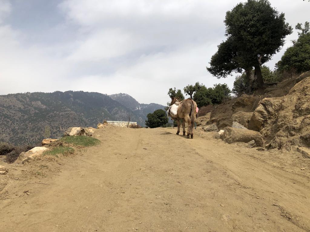 Watapur district of Kunar without link roads