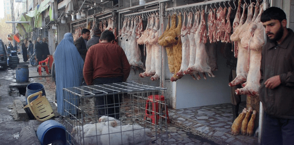 Butchers warned against slaughtering in public places