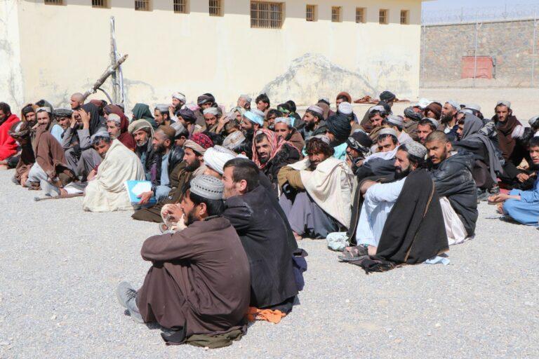 زابل کې د روږدو کسانو د راټولولو بهیر پیل شو