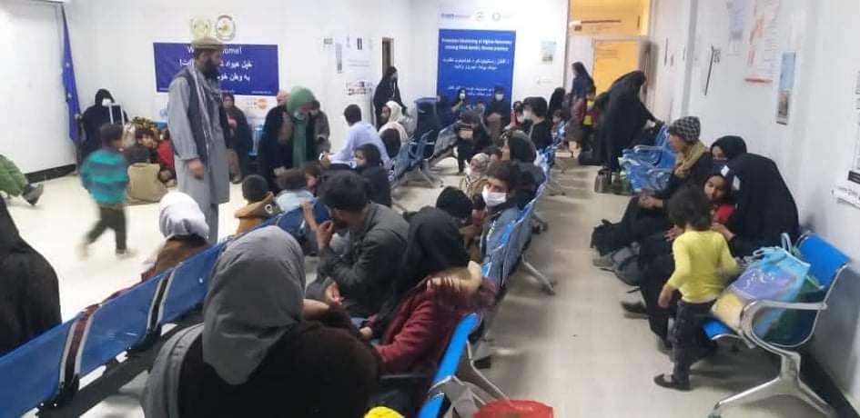 2,000 Afghans daily return to Nimroz from Iran