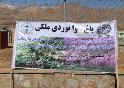 باغ هوانوردی ملکی در میدان هوایی دایکندی افتتاح شد