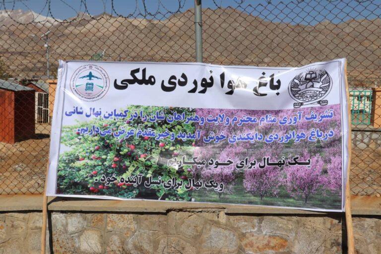 باغ هوانوردی ملکی در میدان هوایی دایکندی افتتاح شد