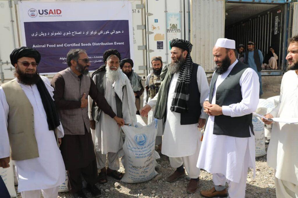 په کندهار کې کروندګرو ته د غنمو د اصلاح شوي تخم د وېش لړۍ پيل شوه